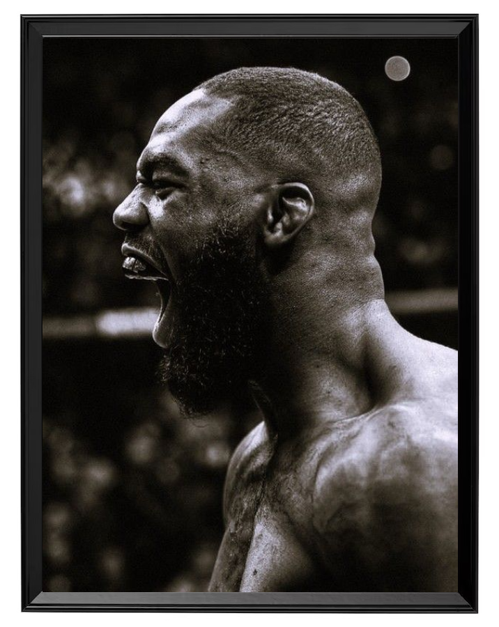 Jon Jones