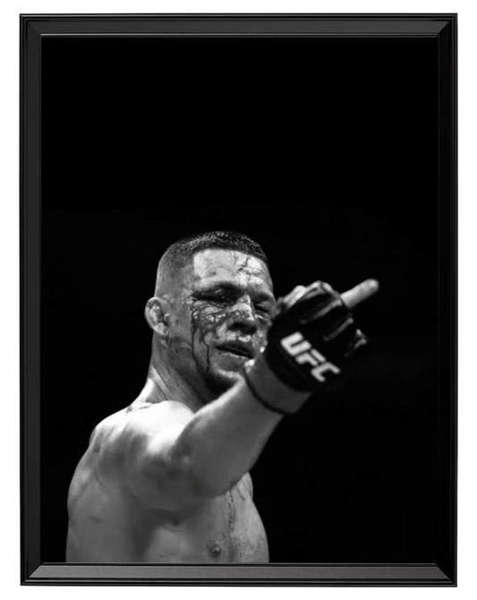 Nate Diaz 'Fuck off'